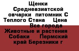 Щенки Среднеазиатской овчарки (питомник С Теплого Стана) › Цена ­ 20 000 - Все города Животные и растения » Собаки   . Пермский край,Березники г.